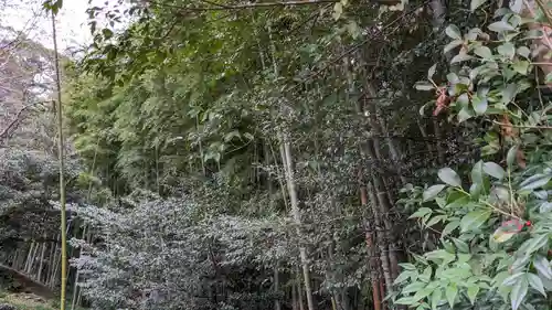 池川神社の自然