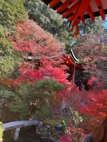 毘沙門堂門跡(京都府)