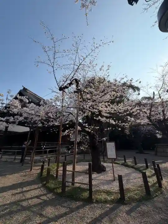 靖國神社の{uncategorized: "未分類", other: "その他", undefined: "問題あり", building: "その他建物", grave: "お墓", sacred_gate: "鳥居", guardian: "狛犬", statue: "像", buddha: "仏像", history: "歴史", nature: "自然", garden: "庭園", animal: "動物", pagoda: "塔", temizu: "手水舎", mountain_gate: "山門・神門", sanctuary: "本殿・本堂", subordinate: "末社・摂社", art: "芸術", scenery: "景色", jizo: "地蔵", ema: "絵馬", goshuin: "御朱印", omikuji: "おみくじ", items: "授与品その他", amulet: "お守り", goshuincho: "御朱印帳", eats: "食事", festival: "お祭り", votive_dance: "神楽", shichigosan: "七五三参", wedding: "結婚式", experience: "体験その他", initially: "初詣", around: "周辺", anti_infection: "感染症対策"}
