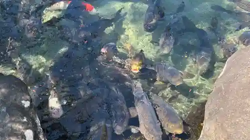 甲斐善光寺(山梨県)