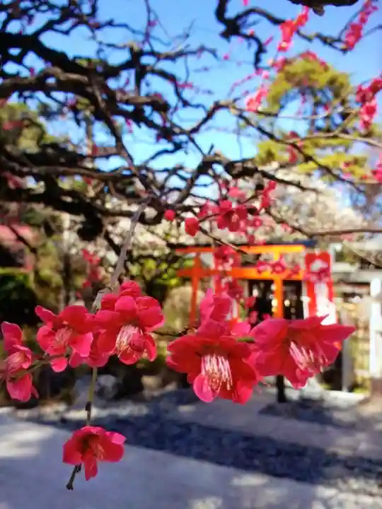 布多天神社(東京都)