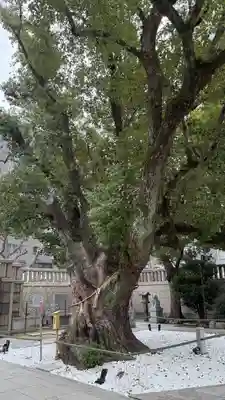 難波神社(大阪府)