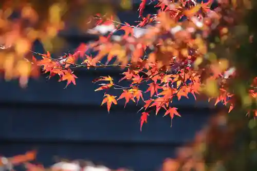 国宝 大法寺の自然