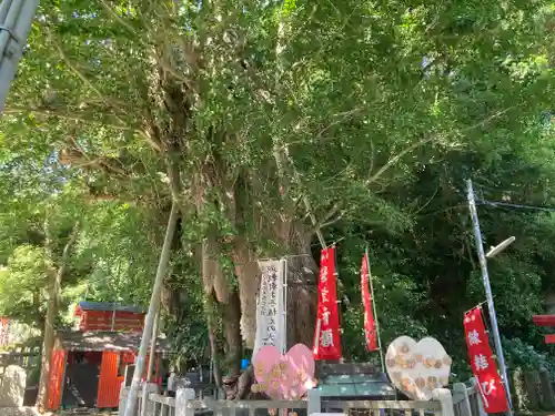 海南神社の自然