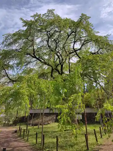 清雲寺(埼玉県)