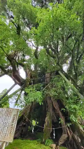 飯倉神社(鹿児島県)