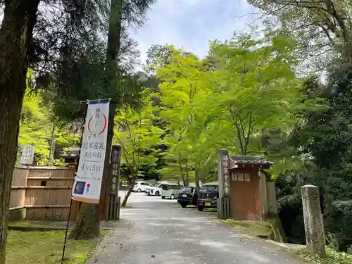 今熊野観音寺(京都府)