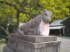 法輪寺の体験その他