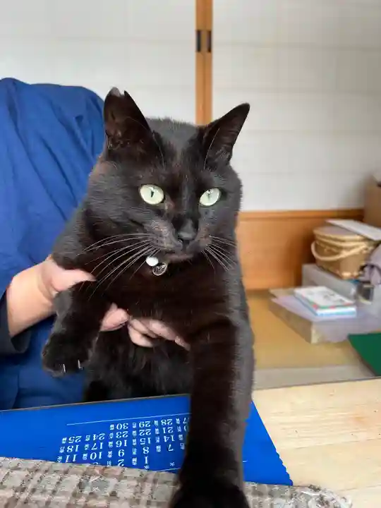 三河三弘法第二番 西福寺の動物