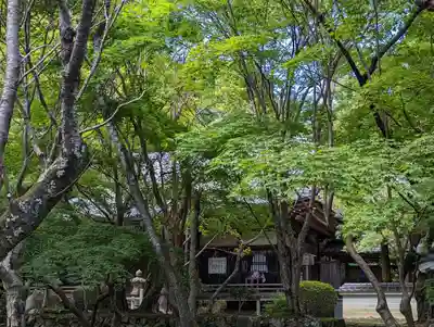 勝持寺（花の寺）(京都府)