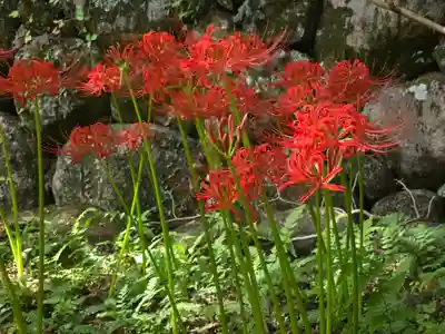 久安寺(大阪府)
