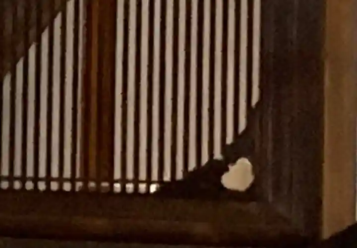 聖護院門跡(京都府)