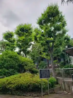 仙寿院(東京都)