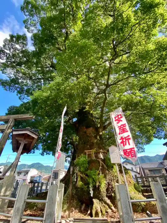 尾鷲神社(三重県)