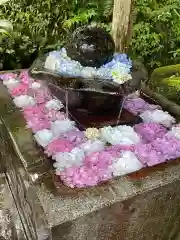 観音寺の手水