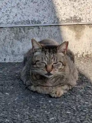 白金氷川神社(東京都)