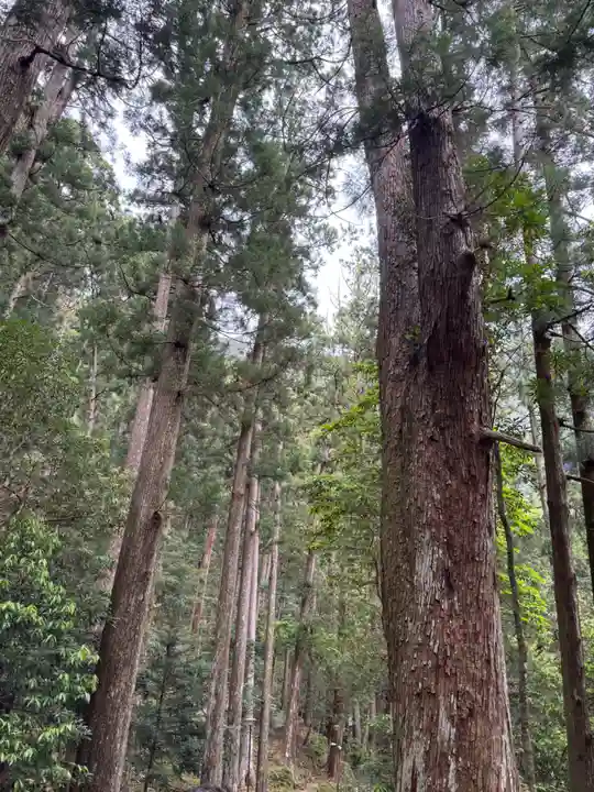 飛瀧神社(熊野那智大社別宮)(和歌山県)