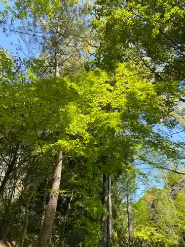 成田山新勝寺の自然
