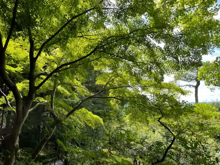 慈照寺(慈照禅寺・銀閣寺)(京都府)