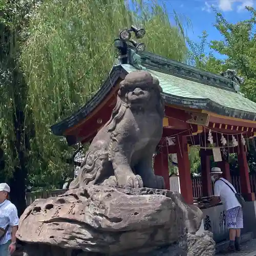 浅草神社の狛犬