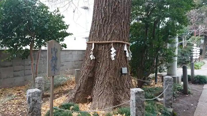 一山神社の自然