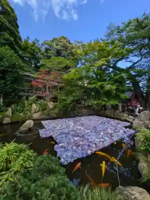楽法寺(雨引観音)のお祭り