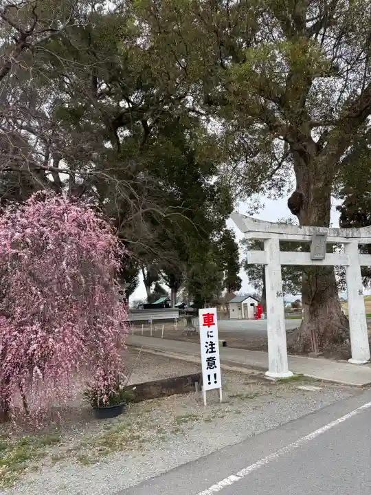 溝口竃門神社の{uncategorized: "未分類", other: "その他", undefined: "問題あり", building: "その他建物", grave: "お墓", sacred_gate: "鳥居", guardian: "狛犬", statue: "像", buddha: "仏像", history: "歴史", nature: "自然", garden: "庭園", animal: "動物", pagoda: "塔", temizu: "手水舎", mountain_gate: "山門・神門", sanctuary: "本殿・本堂", subordinate: "末社・摂社", art: "芸術", scenery: "景色", jizo: "地蔵", ema: "絵馬", goshuin: "御朱印", omikuji: "おみくじ", items: "授与品その他", amulet: "お守り", goshuincho: "御朱印帳", eats: "食事", festival: "お祭り", votive_dance: "神楽", shichigosan: "七五三参", wedding: "結婚式", experience: "体験その他", initially: "初詣", around: "周辺", anti_infection: "感染症対策"}