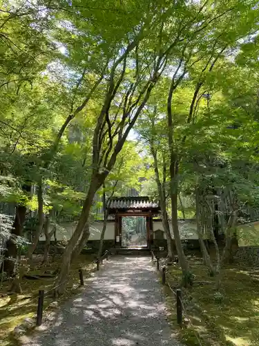 地蔵院(京都府)