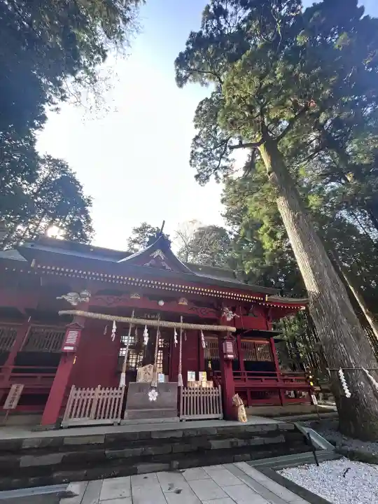 富士山東口本宮 冨士浅間神社の{uncategorized: "未分類", other: "その他", undefined: "問題あり", building: "その他建物", grave: "お墓", sacred_gate: "鳥居", guardian: "狛犬", statue: "像", buddha: "仏像", history: "歴史", nature: "自然", garden: "庭園", animal: "動物", pagoda: "塔", temizu: "手水舎", mountain_gate: "山門・神門", sanctuary: "本殿・本堂", subordinate: "末社・摂社", art: "芸術", scenery: "景色", jizo: "地蔵", ema: "絵馬", goshuin: "御朱印", omikuji: "おみくじ", items: "授与品その他", amulet: "お守り", goshuincho: "御朱印帳", eats: "食事", festival: "お祭り", votive_dance: "神楽", shichigosan: "七五三参", wedding: "結婚式", experience: "体験その他", initially: "初詣", around: "周辺", anti_infection: "感染症対策"}