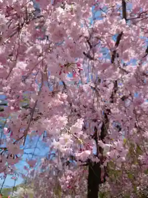 岐阜護國神社(岐阜県)
