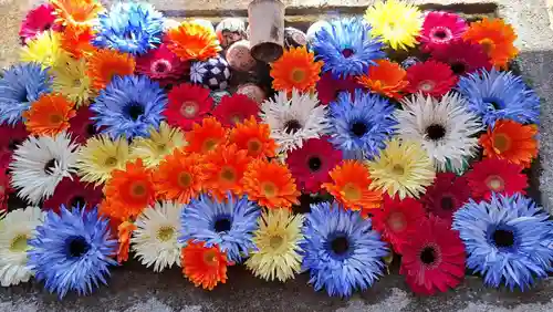 宝林寺(静岡県)