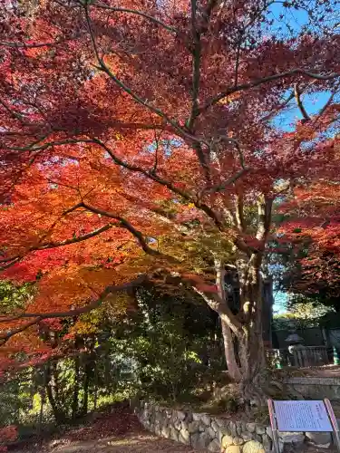 東福禅寺（東福寺）(京都府)