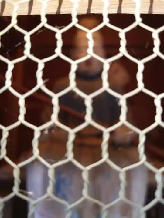 彌彦神社のその他建物