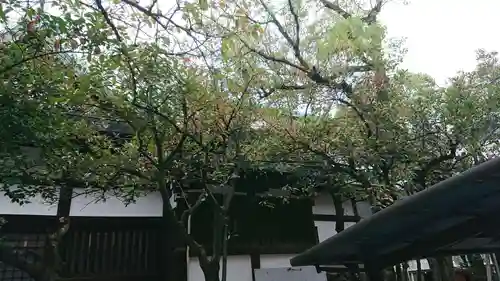 七宮神社のその他建物