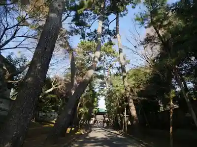豪徳寺のその他建物