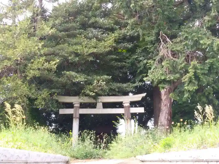 神社(名称不明)の鳥居