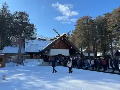 北海道神宮の本殿・本堂