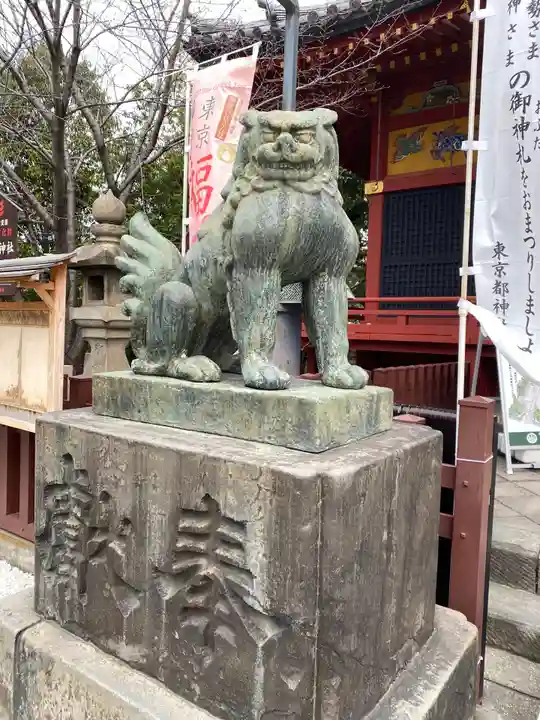 浅草神社の狛犬
