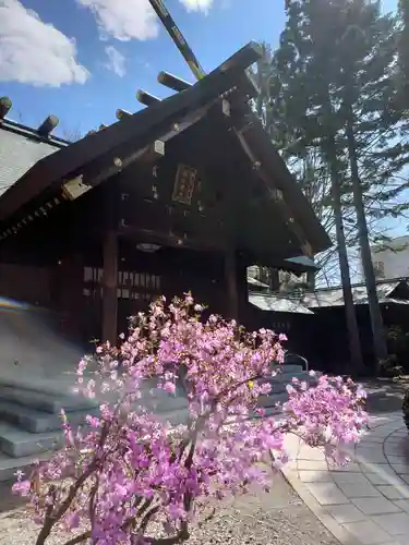 琴似神社の本殿