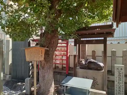 上の天神 生根神社(大阪府)