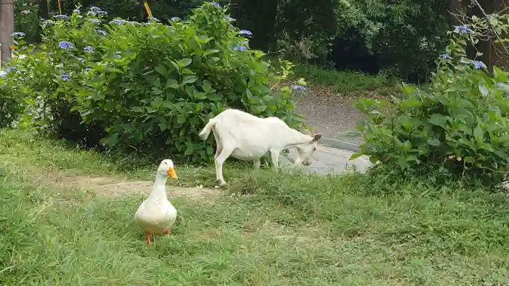 楽法寺(雨引観音)(茨城県)