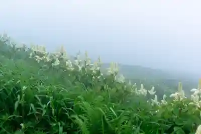 月山神社本宮の自然