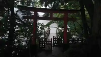 九頭龍神社本宮の鳥居