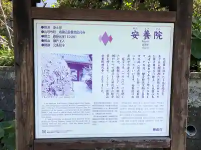 安養院　(田代寺）(神奈川県)