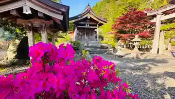 白石神社(福井県)