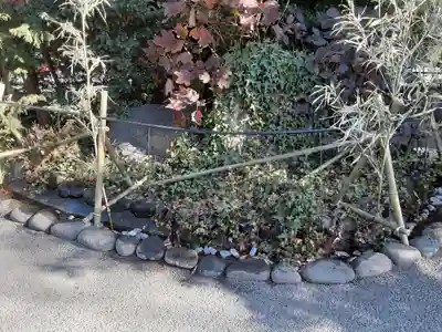 阿佐ヶ谷神明宮(東京都)