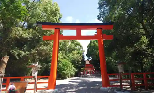 賀茂御祖神社（下鴨神社）の鳥居