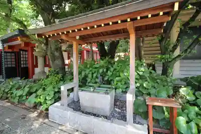 日枝神社の手水舎