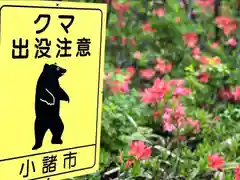 山の神神社(長野県)