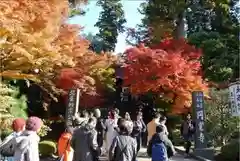 円覚寺の自然